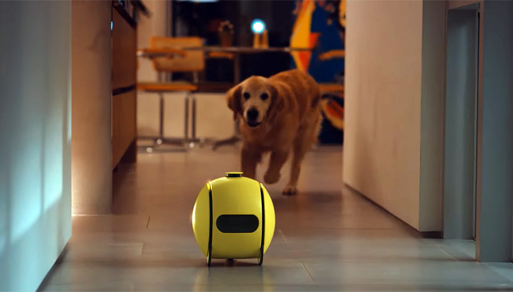 AI家居伴侶機(jī)器人：Ballie